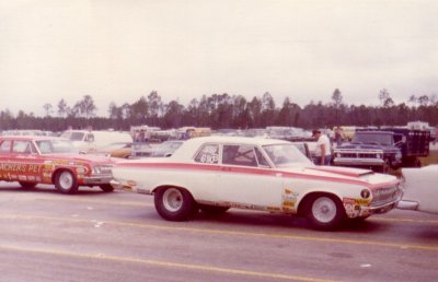 White 64 Ply Gators.jpg