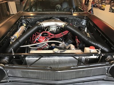 IMG_0521.JPG IMG_0521.JPG