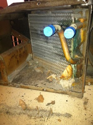 IMG_2447.JPG IMG_2447.JPG