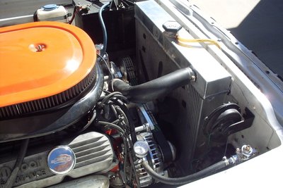 SDC10677.JPG SDC10677.JPG