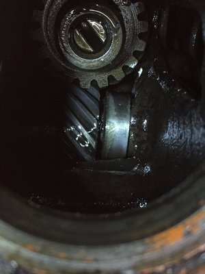 IMG_8135.jpg IMG_8135.jpg