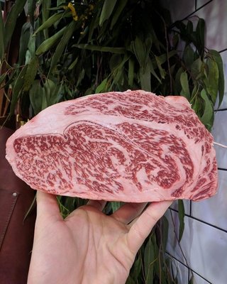 image.jpeg image.jpeg