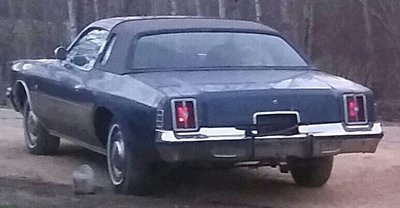 20170509_211356-1-1-1.jpg