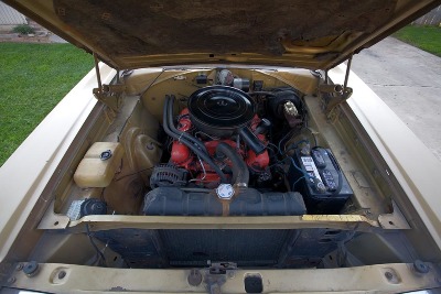 coronet-090217-01-web.jpg coronet-090217-01-web.jpg