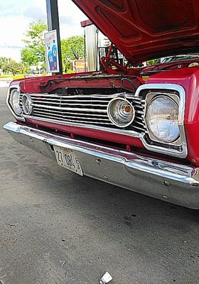 IMG_20170814_171707.jpg IMG_20170814_171707.jpg