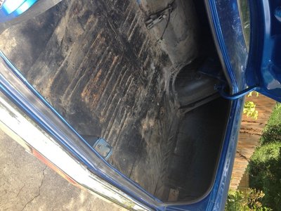 Trunk1.jpg Trunk1.jpg