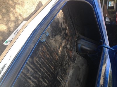 Trunk2.jpg Trunk2.jpg