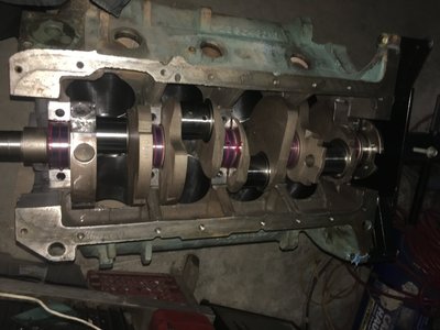 IMG_2245.JPG IMG_2245.JPG