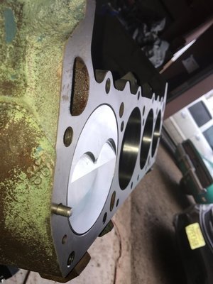 IMG_2520.JPG IMG_2520.JPG