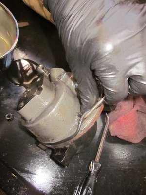 IMG_4880.JPG IMG_4880.JPG