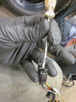 IMG_4574.JPG IMG_4574.JPG