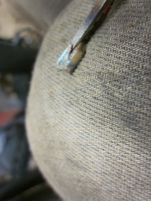 IMG_4577.JPG IMG_4577.JPG