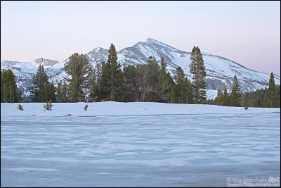 yosemite-060316-02.jpg