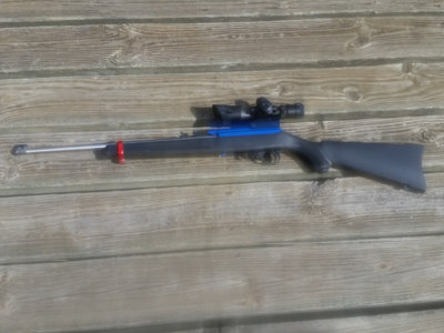 sm_ruger1-22files.jpg