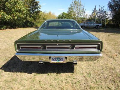 IMG_0095 (Large).JPG