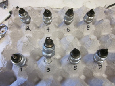 IMG_4889.JPG IMG_4889.JPG