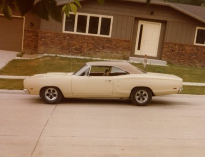 SuperBee.jpg SuperBee.jpg