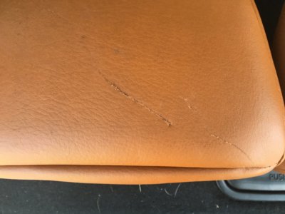 F736D59A-32F7-4376-B8AF-530A5C876EA5.jpeg F736D59A-32F7-4376-B8AF-530A5C876EA5.jpeg