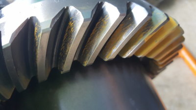 1506890571385964883753.jpg 1506890571385964883753.jpg