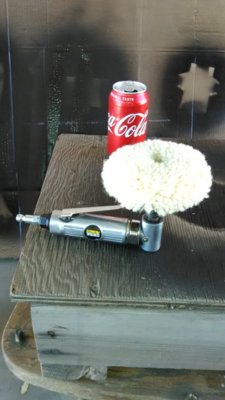 IMG_20171005_103205.jpg IMG_20171005_103205.jpg