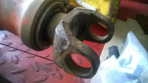 WP_20170408_037.jpg