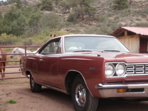 P1010079.JPG P1010079.JPG