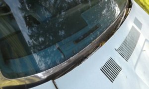 20171014_162529_resized.jpg