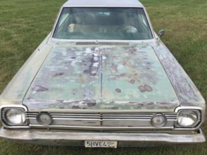 Belvedere buffed c.JPG Belvedere buffed c.JPG