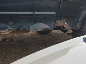 20171012_180955.jpg