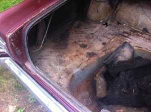 IMG_1952 (1).JPG IMG_1952 (1).JPG