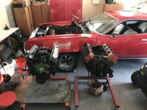 70A5CB6A-AEAC-4C5A-A5D6-69EF890EEC49.jpeg 70A5CB6A-AEAC-4C5A-A5D6-69EF890EEC49.jpeg