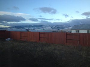 IMG_1300.JPG IMG_1300.JPG