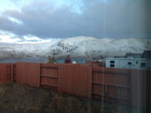 IMG_1301.JPG IMG_1301.JPG