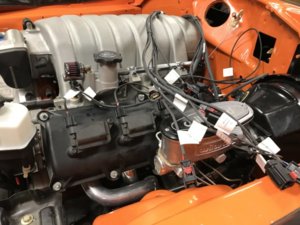 IMG_0991.JPG IMG_0991.JPG