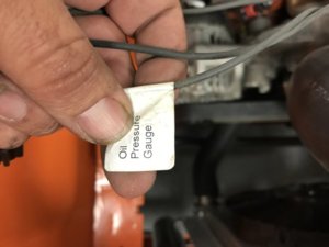 IMG_0993.JPG IMG_0993.JPG