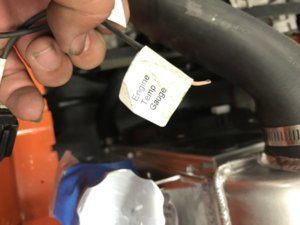 IMG_0994.JPG IMG_0994.JPG