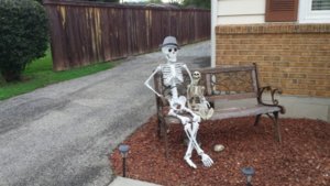 Bony Halloween 2017.jpg