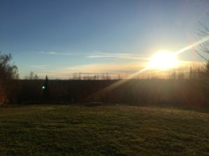 04DAFADD-090F-4C44-9B7E-FD810EAB307B.jpeg 04DAFADD-090F-4C44-9B7E-FD810EAB307B.jpeg