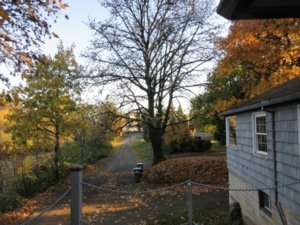 IMG_0359 (Large).JPG IMG_0359 (Large).JPG