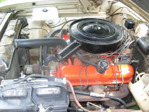 DSCN1871.JPG DSCN1871.JPG