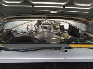 image.jpeg image.jpeg