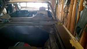 WP_20171028_12_03_19_Pro.jpg WP_20171028_12_03_19_Pro.jpg