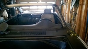 WP_20171028_12_04_32_Pro.jpg WP_20171028_12_04_32_Pro.jpg