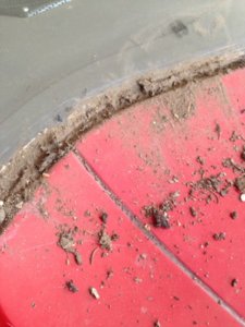 IMG_1217.JPG IMG_1217.JPG