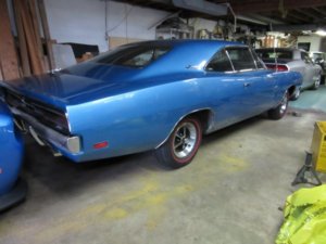 IMG_0187 (Large).JPG