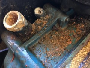 IMG_7607(1).JPG IMG_7607(1).JPG