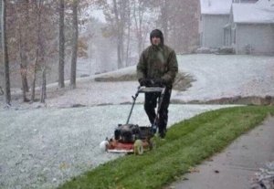 mowing.jpg mowing.jpg