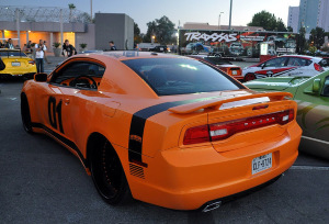 DSC_0498.jpg