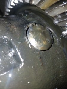 20171103_002156.jpg 20171103_002156.jpg