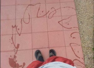 Screenshot_20171107-162518.jpg Screenshot_20171107-162518.jpg